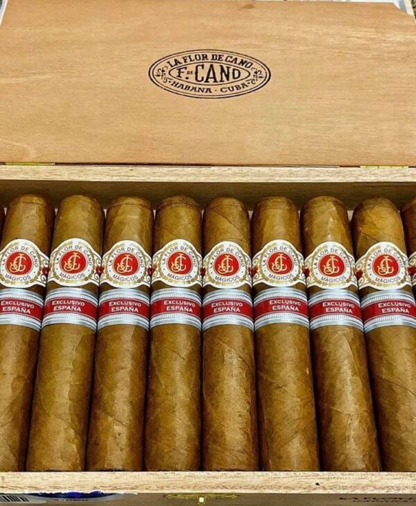 Xì Gà La Flor De Cano Magicos