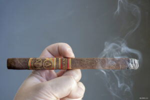 Thuốc Xì Gà 1 Xì Gà Oliva Serie V Lanceros
