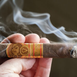 Xi Ga Oliva Serie V Melanio Robusto 2