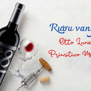 Ruou Vang Otto Lune 8 Primitivo 2