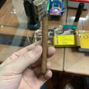 Xi Ga Lotus Club 10 Dieu 3