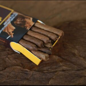 Xi Ga Lotus Club 10 Dieu 4