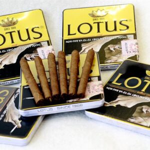 Xì Gà Lotus Mini 10 Điếu 4 Xi Ga Lotus Mini 10 dieu