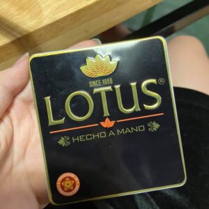 Xì Gà Lotus Mini 10 Điếu 3 Xi Ga Lotus Mini 10 dieu 4