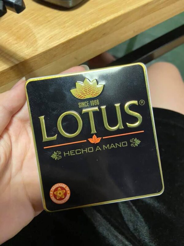 Xì Gà Lotus Mini 10 Điếu