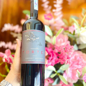 Rượu Vang Muelle Tortel Cabernet Sauvignon 1 Ruou Vang Muelle Tortel Cabernet Sauvignon 3