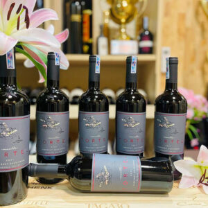 Rượu Vang Muelle Tortel Cabernet Sauvignon 4 Ruou Vang Muelle Tortel Cabernet Sauvignon 4