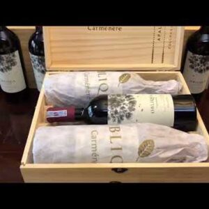 Ruou Vang Obliqua Carmenere Apalta Vineyard 1