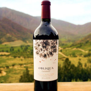 Rượu Vang Obliqua Carmenere Apalta Vineyard