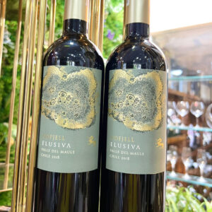 Ruou Vang Odfjell Elusiva 2