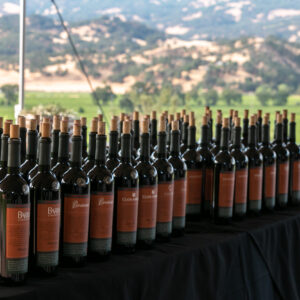 Ruou Vang Parducci Coro Mendocino 4