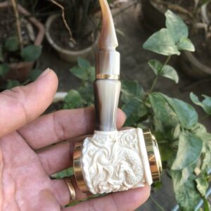 Tau Hut Xi Ga Xuong Can Sung Trau 4