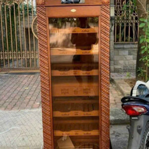 Tu Bao Quan Xi Ga Lubinski LP180A 1