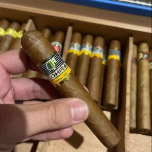 Xi Ga Cohiba Robustos 4