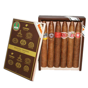 Xi Ga Cohiba Seleccion Piramides 2