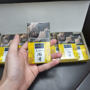 Xi Ga Lotus Tram Huong 1