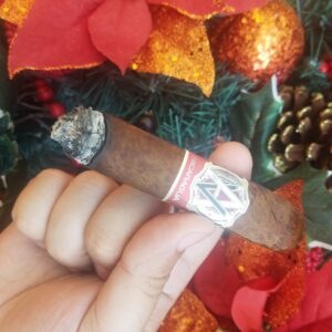 Xi Ga AVO Syncro Nicaragua Toro Tubo 3