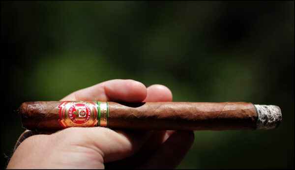 Xì Gà Arturo Fuente King T Rosado Red