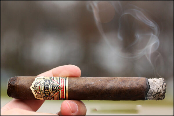 Xì Gà Ashton VSG Robusto Especial