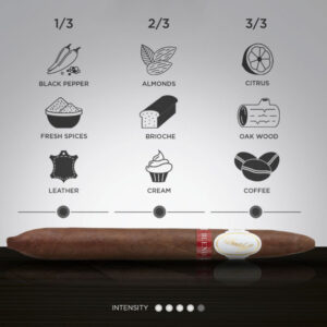 Xi Ga Davidoff Announces Blend Exclusive Salomones 3
