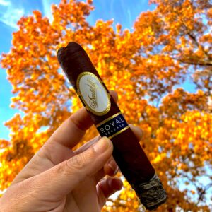 Xi Ga Davidoff Royal Release Robusto 3