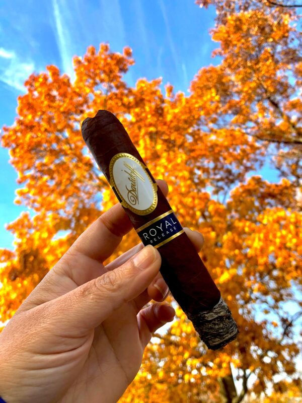 Xì Gà Davidoff Royal Release Robusto