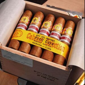 Xi Ga El Rey del Mundo Petit Cayo 2