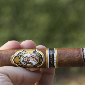 Xi Ga God Of Fire Serie Aniversario 2