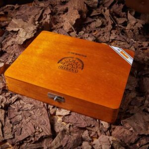 Xi Ga H.Upmann Sir Winston