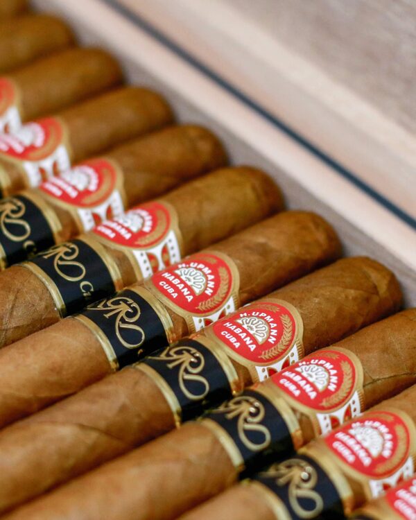 Xì Gà H. Upmann Sir Winston Gran Reserva Cosecha 2011