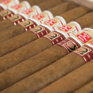 Xì Gà Hoyo De Monterrey Escogidos LCDH 2 Xi Ga Hoyo De Monterrey Escogidos LCDH 2