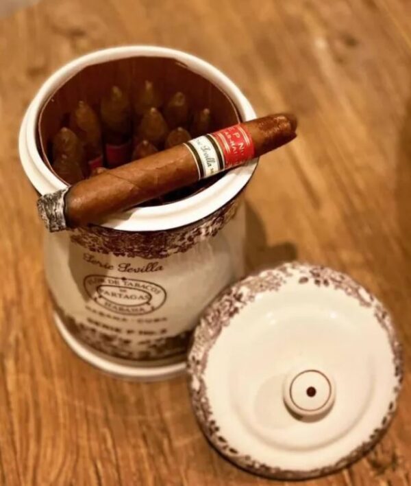 Xì Gà Hũ Sứ Partagas Serie P No2 Sevilla