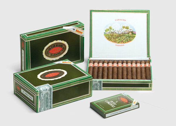 Xì Gà La Flor de Cano Petit Coronas