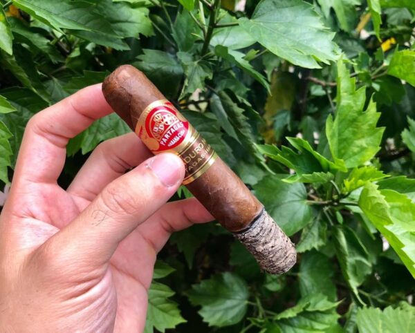 Xì Gà Partagas Maduro No 1