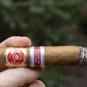 Xì Gà Punch Preferidos 2 Xi Ga Punch Preferidos 3