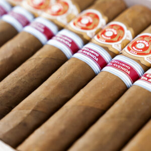 Xì Gà Punch Preferidos 4 Xi Ga Punch Preferidos