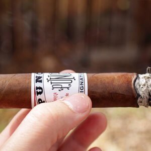 Xi Ga Punch Signature Pita 2