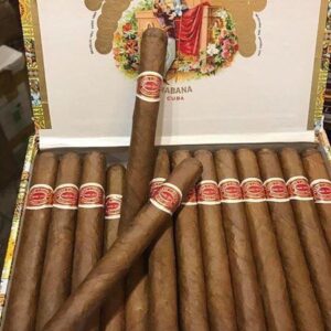 Xi Ga Romeo Y Julieta Belvederes 3