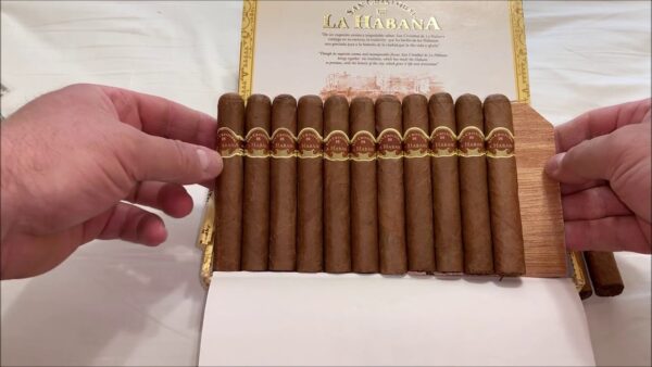 Xì Gà San Cristobal De La Habana EL Principe