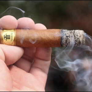 Xì Gà Trinidad Robustos T 1 Xi Ga Trinidad Robustos T 2