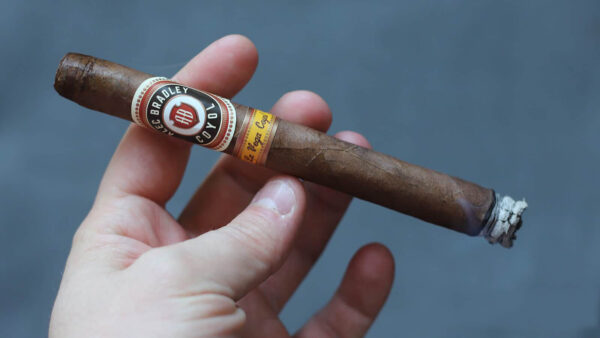 Xì Gà Alec Bradley Coyol