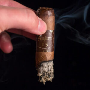 Xi Ga Asylum 13 Medulla 2