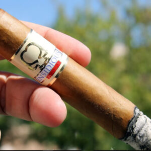 Xi Ga Asylum Insidious Habano 1