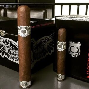 Xi Ga Asylum Nyctophilia 1