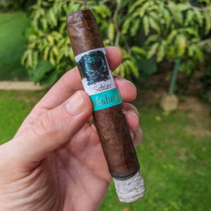 Xi Ga Asylum Schizo Natural 2