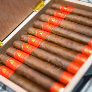 Xì Gà August 56 3 Xi Ga August 56 1