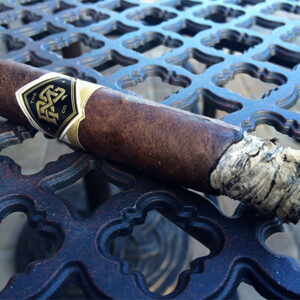 Xi Ga Camacho BG Meyer Standard Issue 1