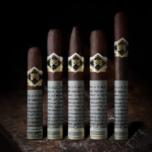 Xi Ga Camacho BG Meyer Standard Issue 2