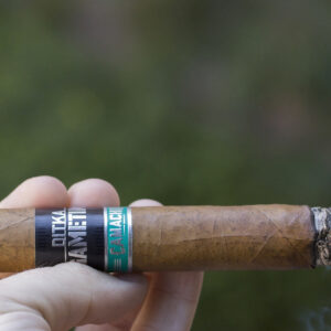 Xi Ga Camacho Ditka Game Time 1