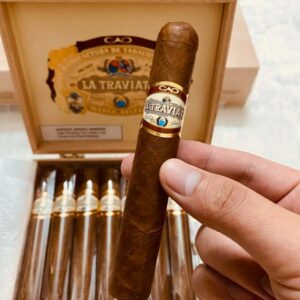 Xi Ga Cao Flathead La Traviata Divino 2